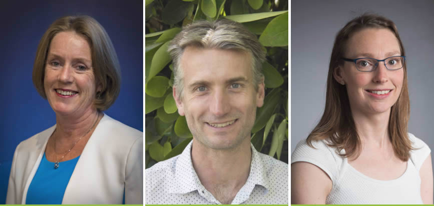 KiwiNet’s research commercialisation success to scale up; new chairperson and board members announced